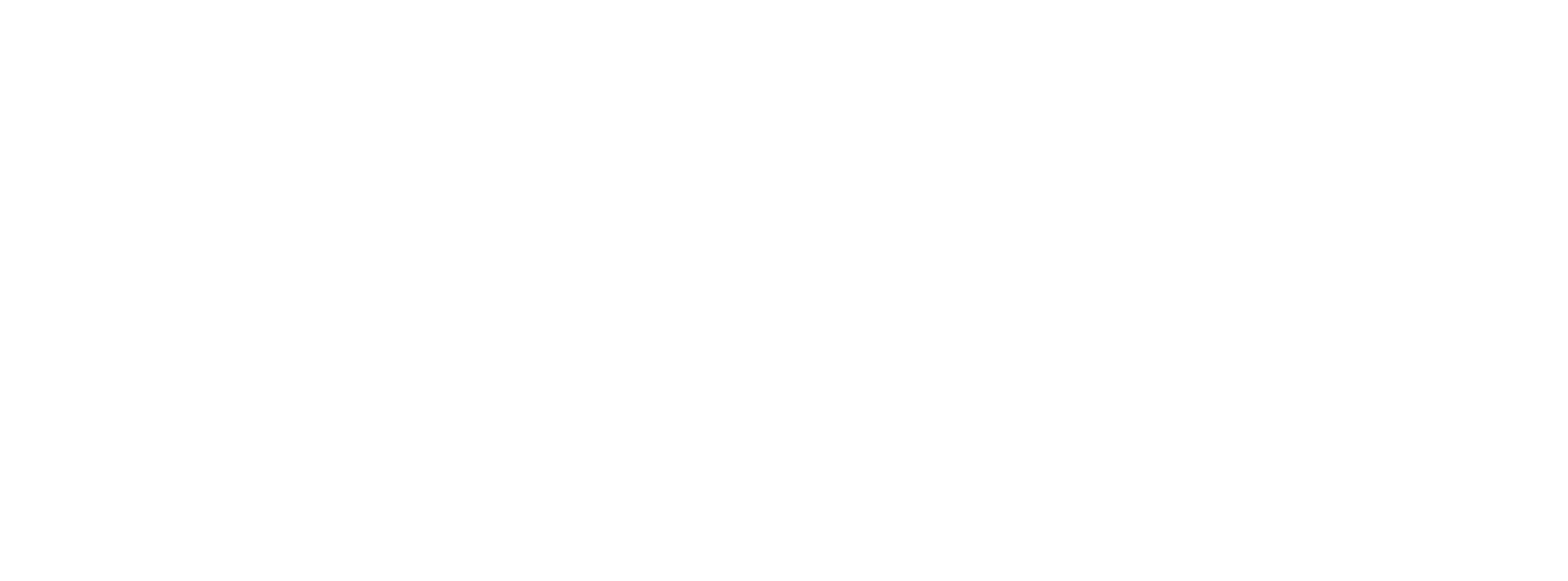 501 FUN_Logo_RGB_Landscape_White